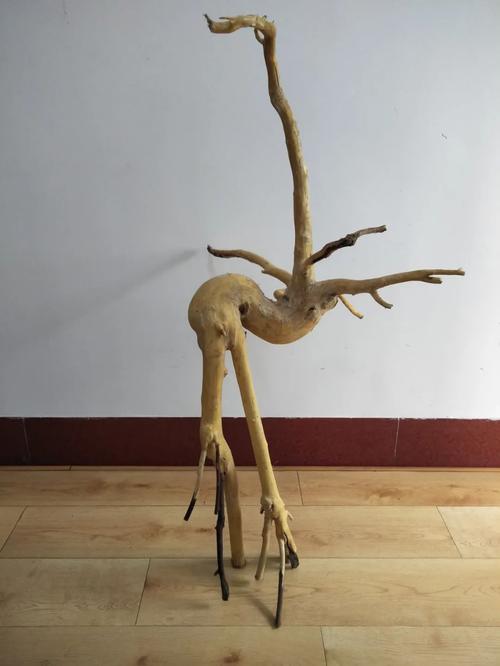 鹤鸣九皋:天然根雕仙鹤与《诗经》之《鹤鸣》诗