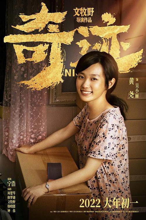 奇迹笨小孩电影海报