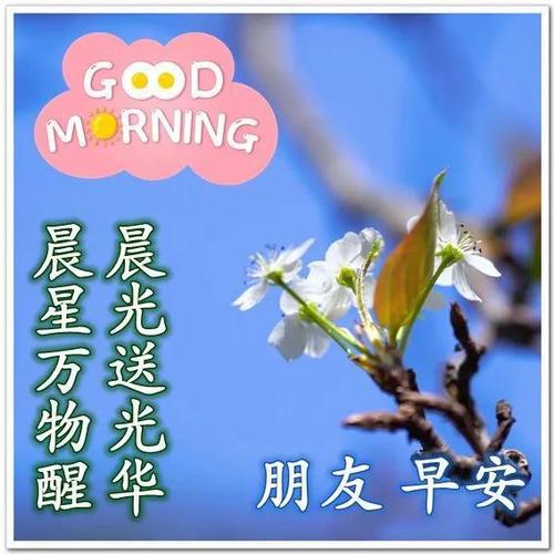 深情问候早上好祝福图片秋天早晨好问候美图