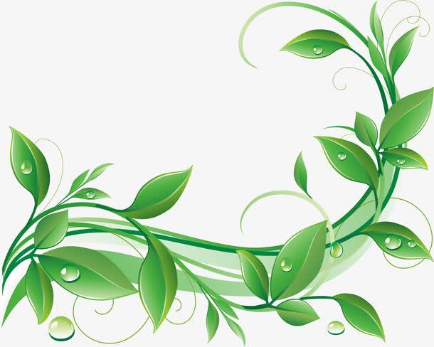 卡通,藤蔓,绿叶,绿色