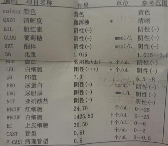 做了尿常规检查 麻烦帮忙看下各项指标说明什么啊? 有