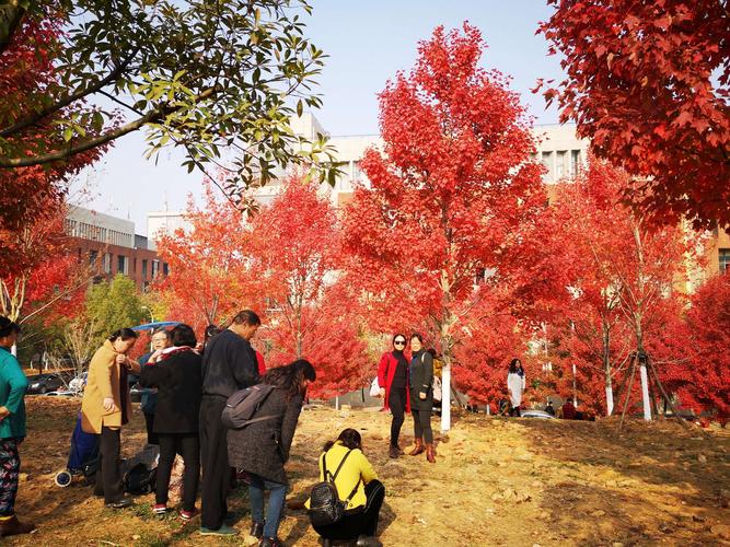 文华学院第五届红枫文化节