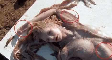 南海渔民捕捉到人鱼美人鱼真的存在