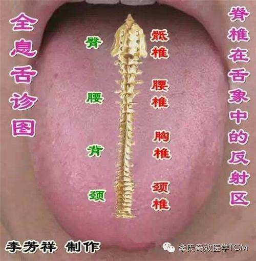 李氏全息舌诊与用药(四)
