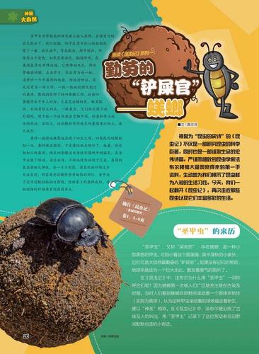 勤劳的"铲屎官"——蜣螂