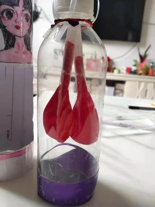 2021膈肌模型优秀作品4