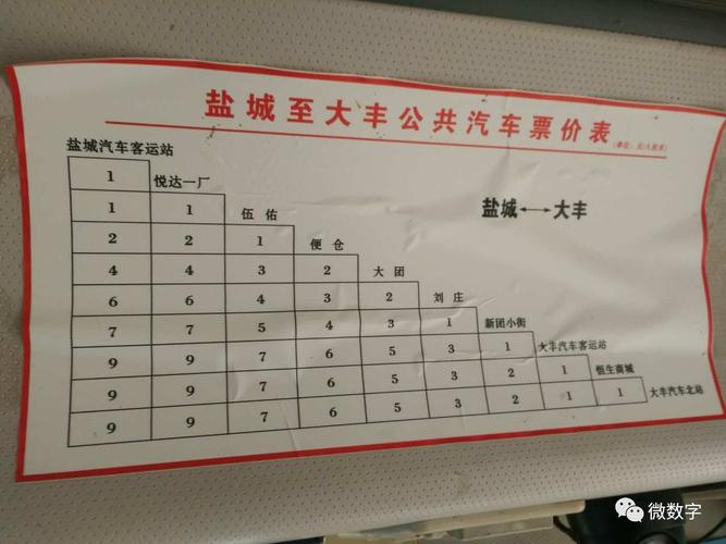 盐丰公交驾驶员视乘客生命为儿戏!