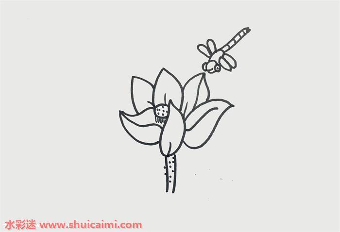荷花上的蜻蜓怎么画荷花上的蜻蜓简笔画简单好看带颜色