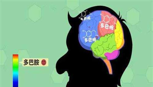 多巴胺分泌是什么 含多巴胺最多的食物是什么 吃什么
