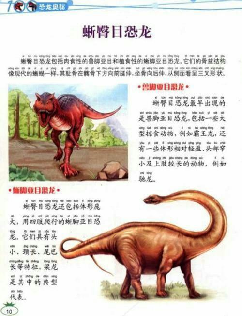 恐龙的种类
