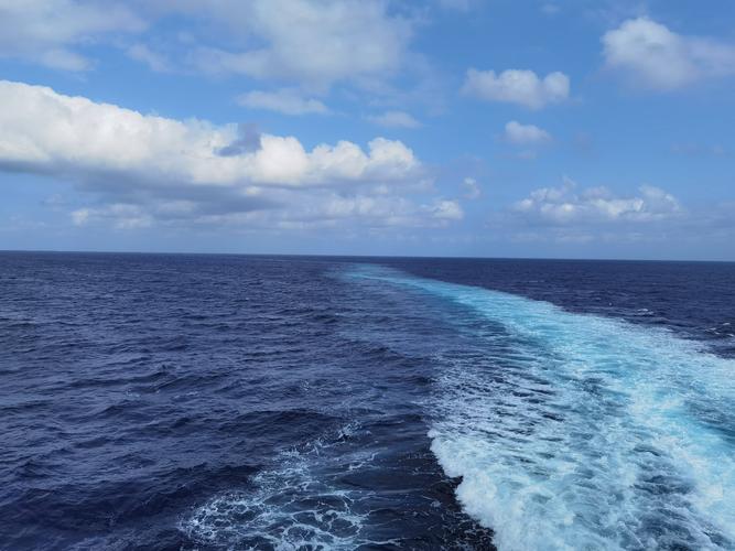 今年7月1日起我国正式实施公海自主休渔