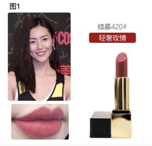 雅诗兰黛420/440/490 简装试色