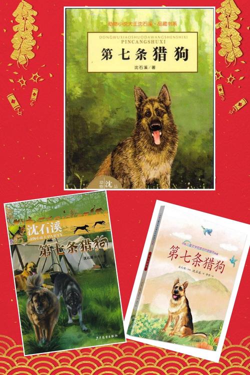 感受爱的力量 ——濮阳市实验小学五一班《第七条猎狗》读书交流会