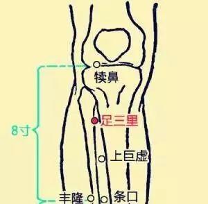 三阴交:健脾益血,通调肝脾肾三经,亦有安神之效,可帮助睡眠.