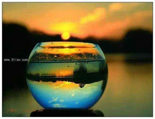 这些年在路上,我学会了让舍得和舍不得都随缘了.