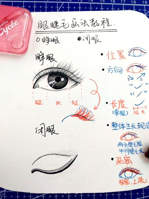 零基础学手绘|逼真眼睫毛画法(超详细步骤讲解)