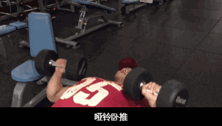 怎样练好哑铃卧推,实现胸肌的完美进步?