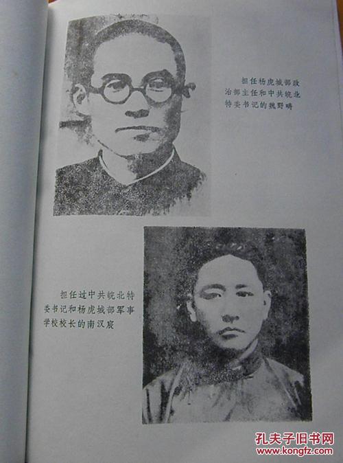 皖北阜阳四九起义