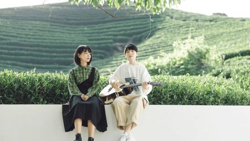 房东的猫美图合集青春版