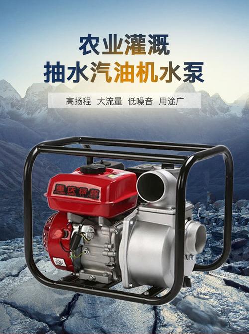 汽油机水泵2寸3寸4寸高扬程农用灌溉高压柴油机水泵家用抽水污水 2寸