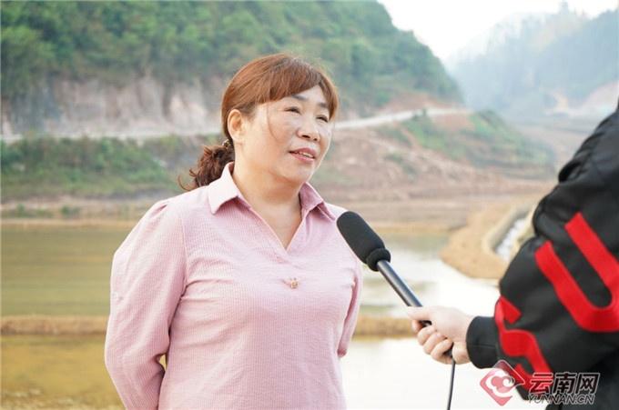 【云岭楷模】我是老山脚下的一株小草 ——记上海市派驻麻栗坡县挂职