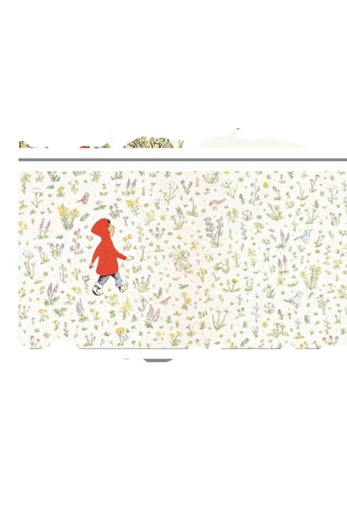 海豚故事会《路边花》,一本发现美,传递美的无字绘本.