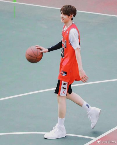 王一博·季向空