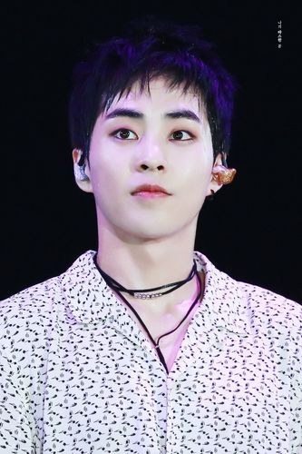 xiumin 金珉锡