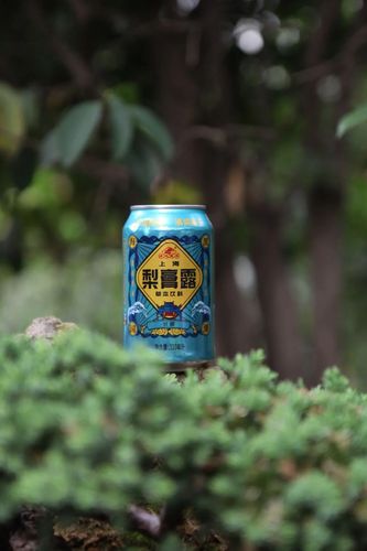 国潮草本饮品 上海特色伴手礼梨膏露