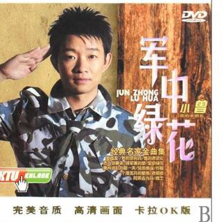 军中绿花-口琴