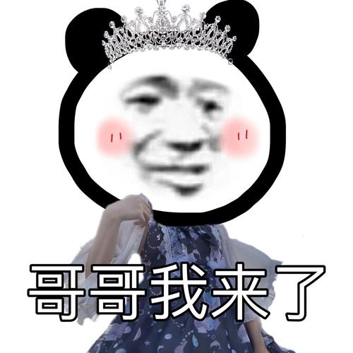 哥哥我来了 - 熊猫头无水印表情包