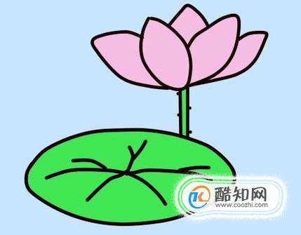 怎么简单画荷花荷叶