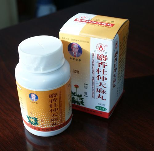 天麻蜜环菌的功效与作用 - 天麻砖家