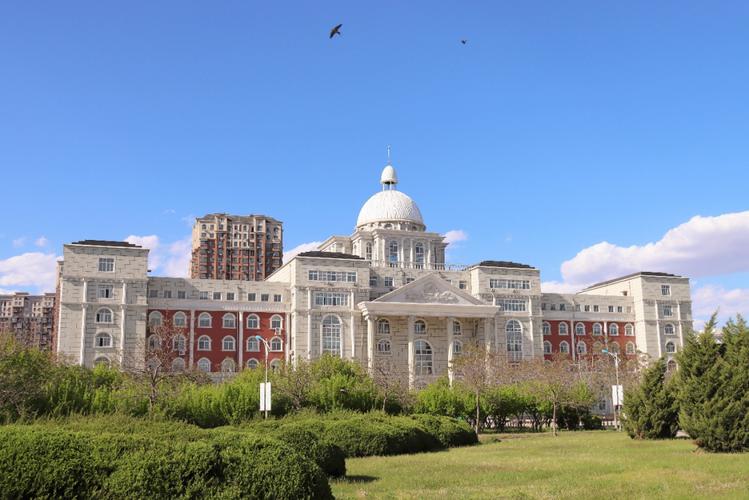 倒计时9天|我们在synu等你_沈阳师范大学_零二七艺考