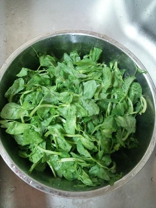 豌豆尖汤