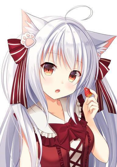 图片动漫猫女