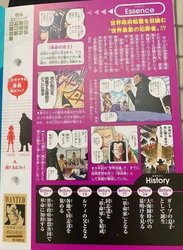 《海贼王》官方公布蒙奇·d·龙的生命卡,果然是自然系风风果实!