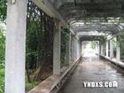 楚雄师范学院图片_百度百科