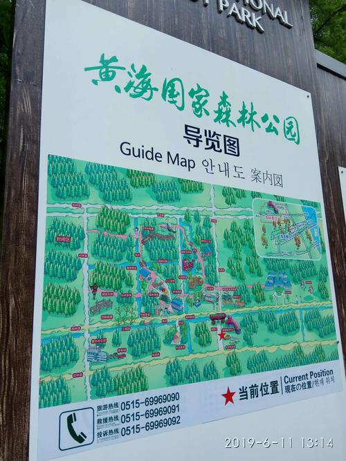 萨福星的美篇绿地康养居会员(龙柏老师游1,东台黄海森林公园2.