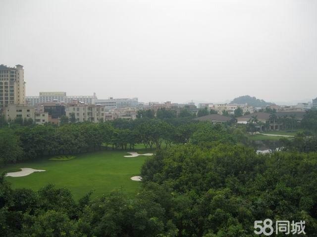 星河湾怡心园 南向高层高尔夫 朝向好景观靓 强力推荐