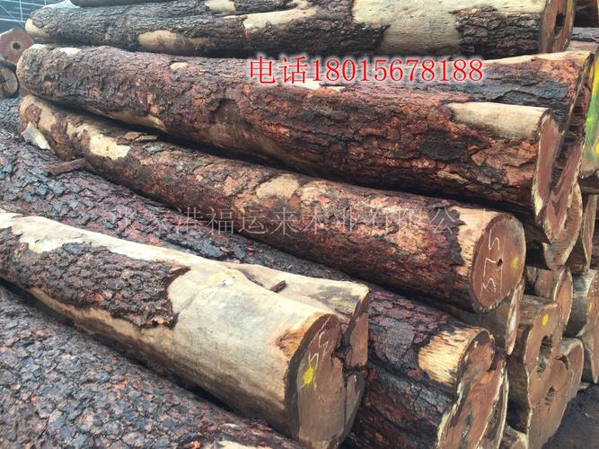 供应 黄金紫檀 原木 精品澳洲黄金紫檀原木 高档家具
