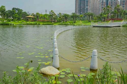 万丰湖湿地公园