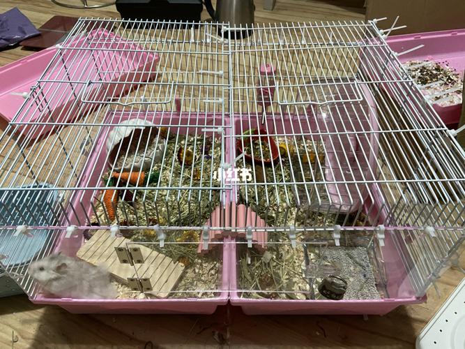 两个47基笼子改造_仓鼠_亚克力_仓鼠笼子省钱_宠物