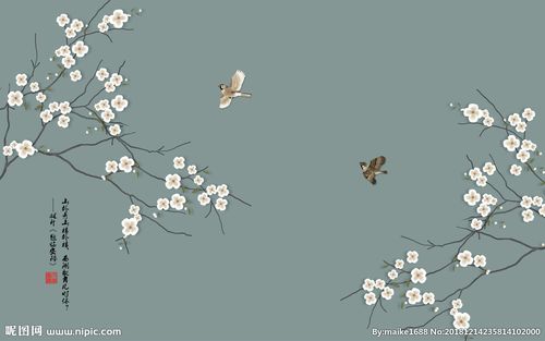 新中式手绘工笔玉兰花鸟电视背景图片