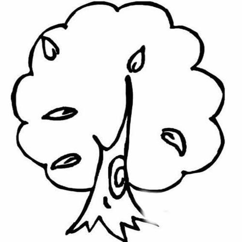 树简笔画图片大全