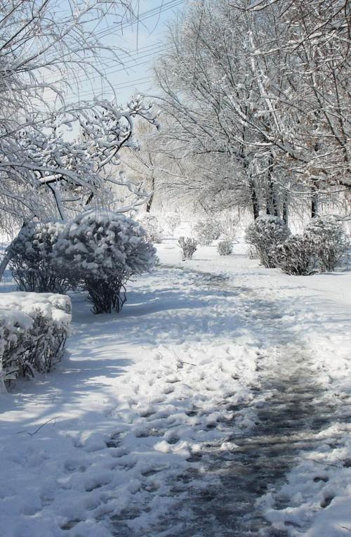 北方是白色写出的色彩