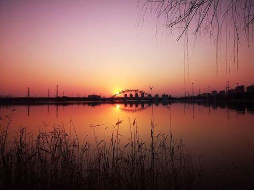 咱们阳谷太太太美了,看出是哪里了吗?_南湖