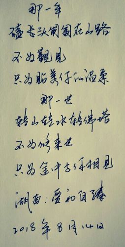 每日写字(那一世不为……只为……)
