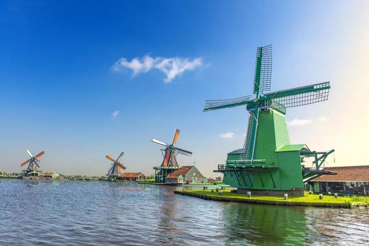 荷兰只有郁金香?no,no,no,还有这些.