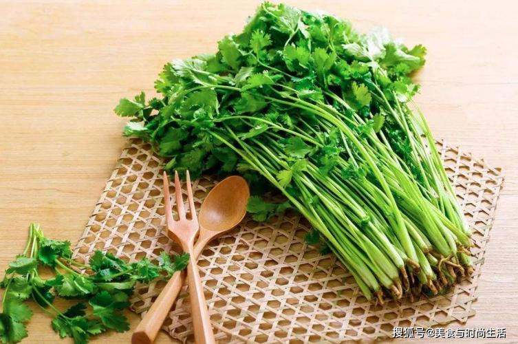 茴香包子和饺子一般人可能都爱吃,但是你喜欢吃香菜吗